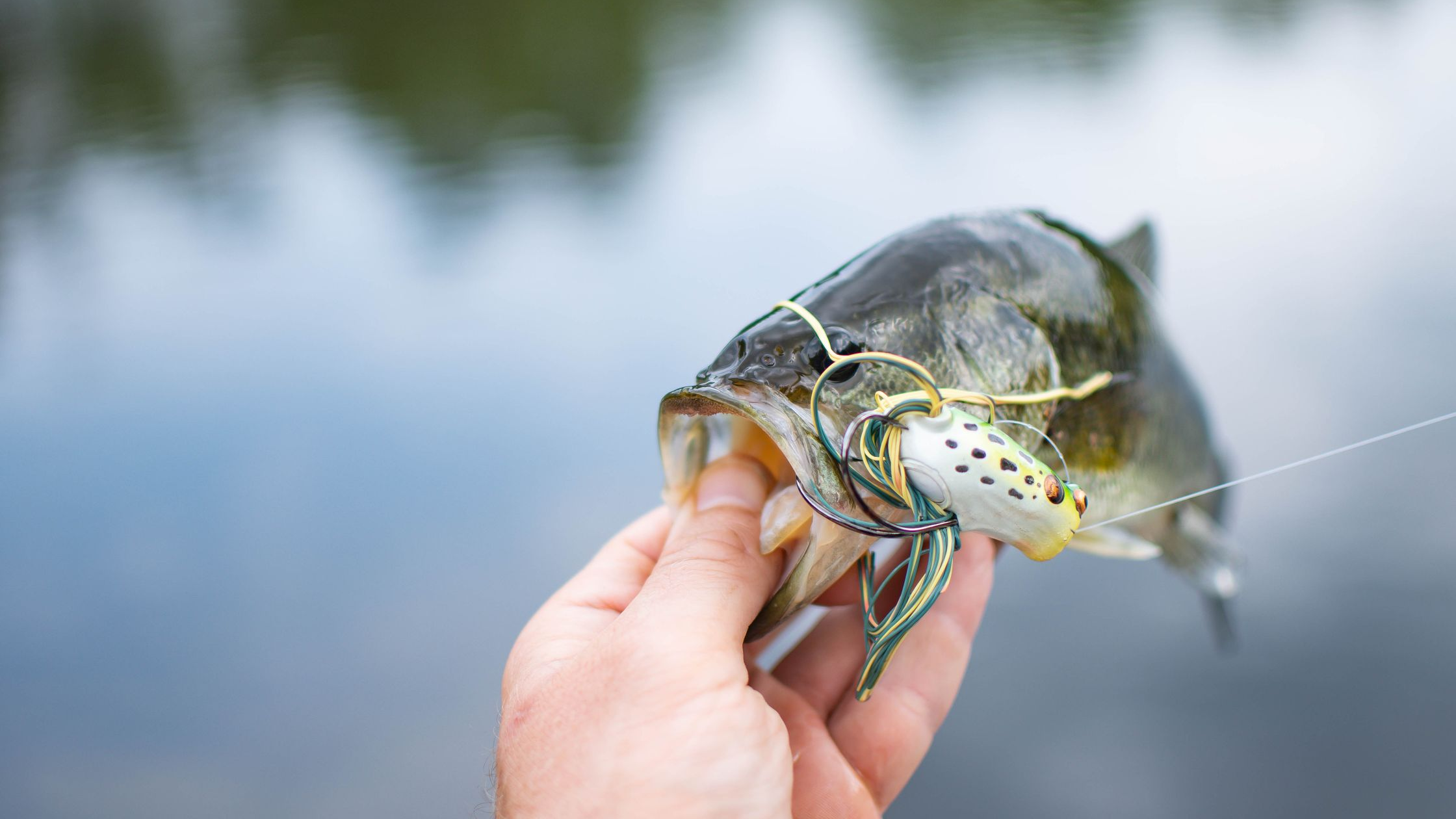 SmallMouth Bass Lures and Everything to Catch Bass