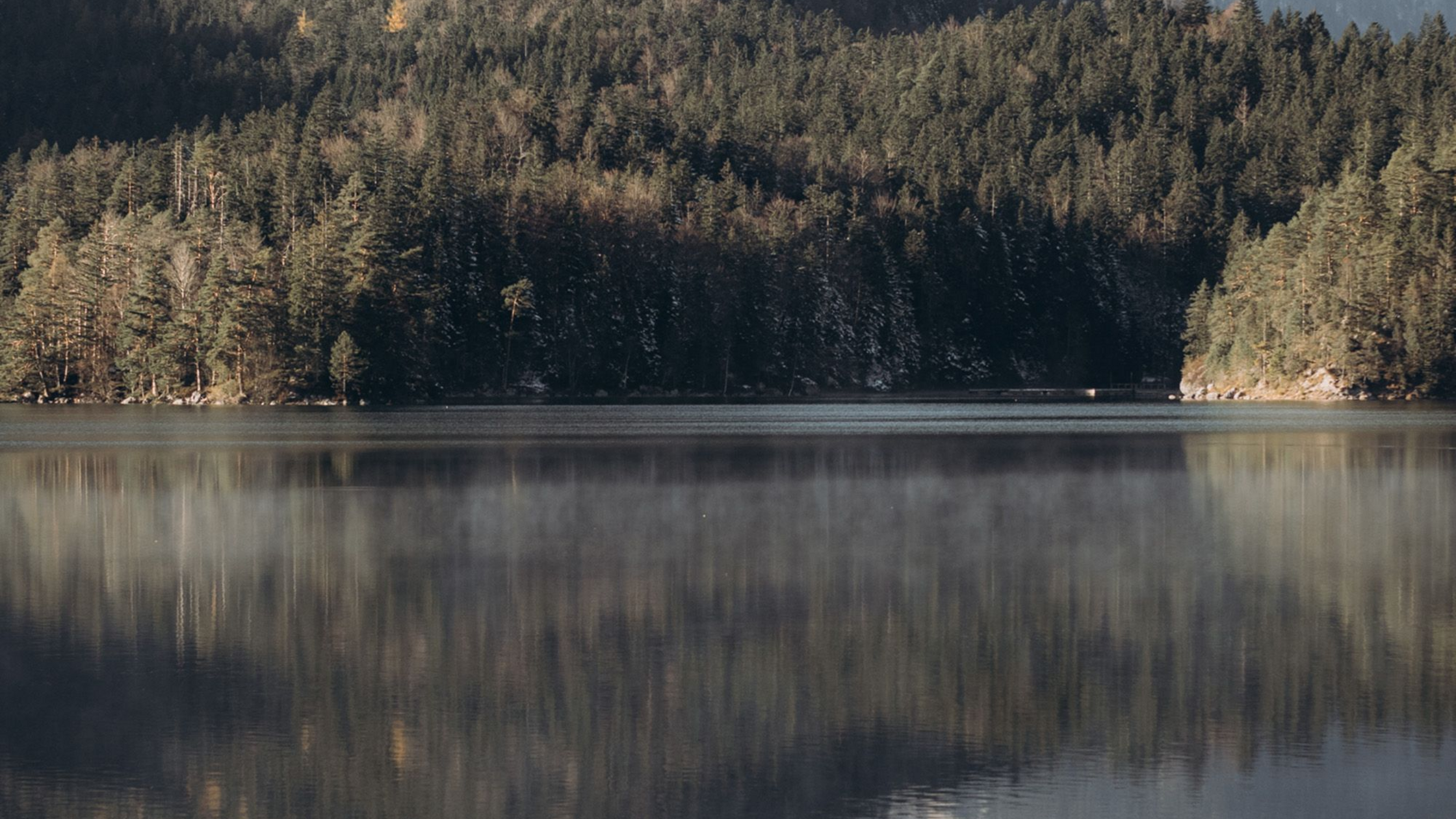 Lewiston Lake Fishing Report 2026: Trophy Trout & Fly Fishing Guide