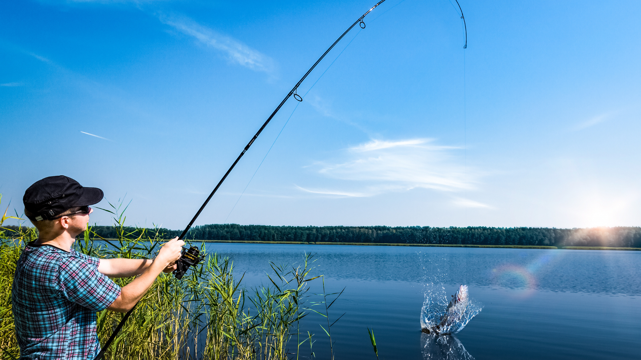 Sacramento River Fishing Guide 2026: Salmon, Steelhead & Stripers