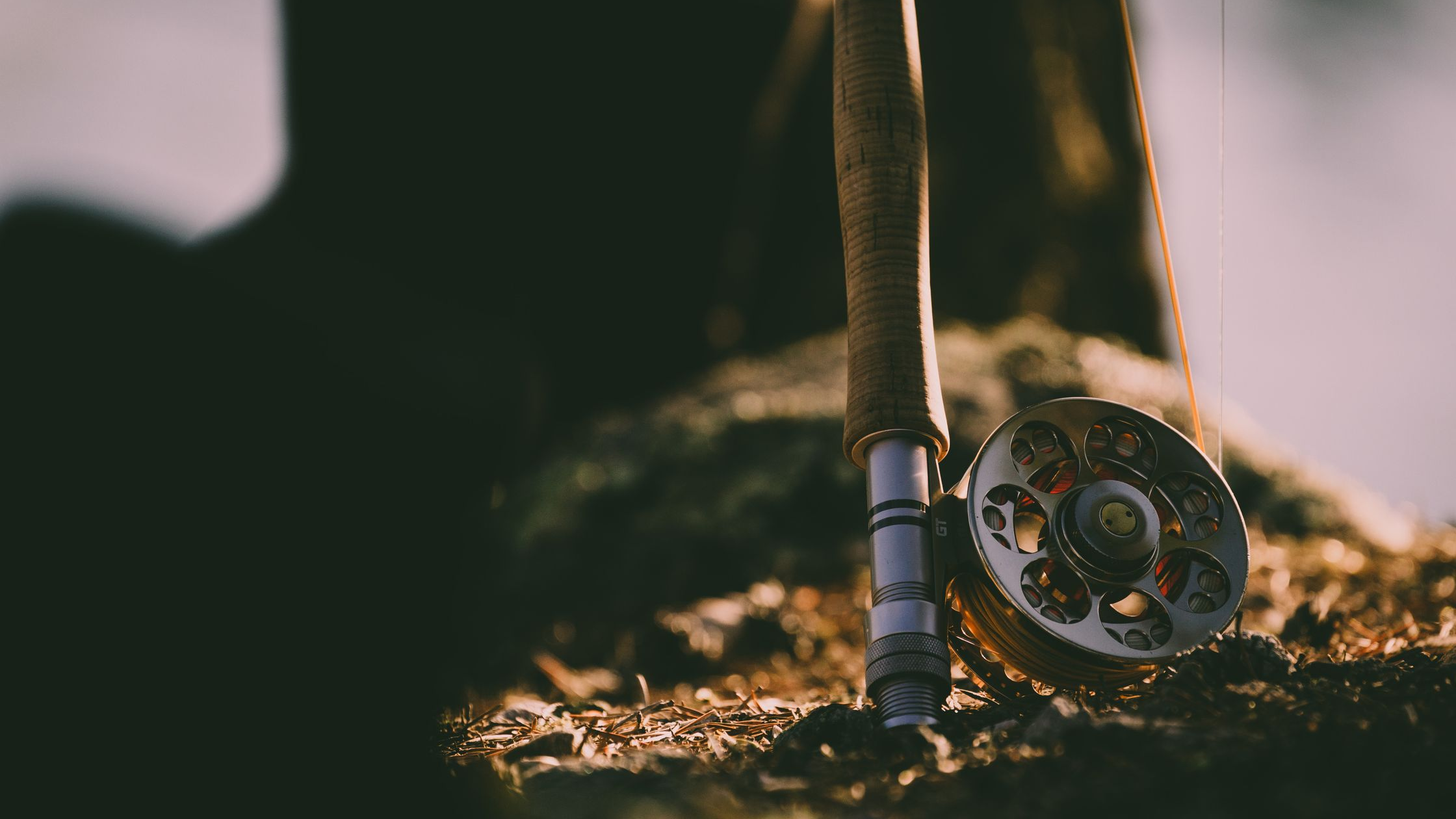 Fly Lines Explained 101