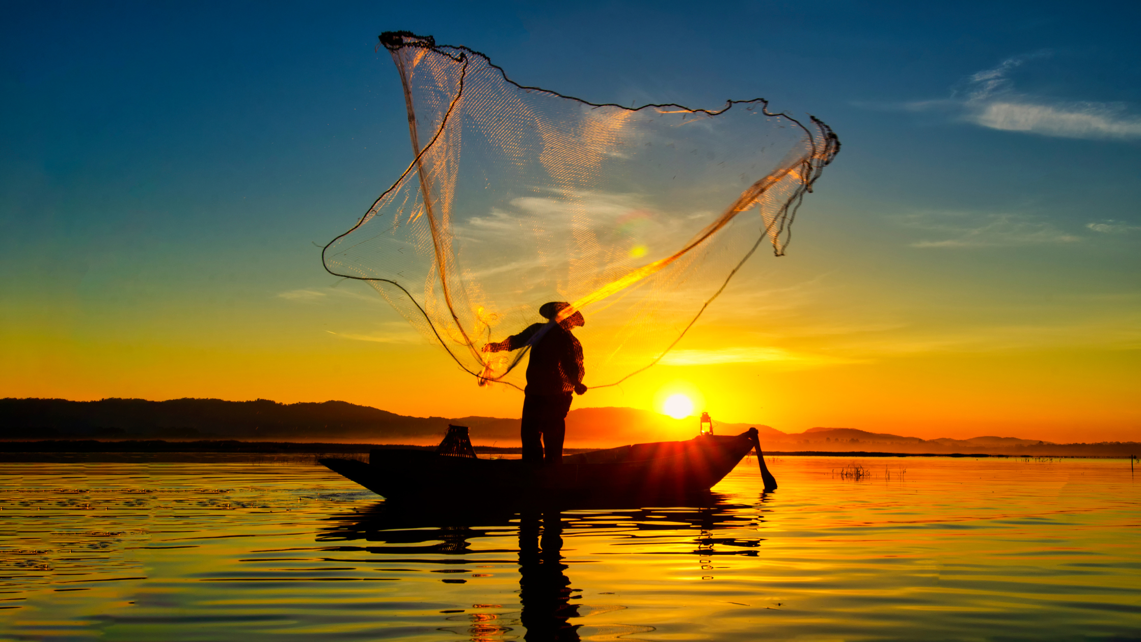 Trout Anatomy and Senses: A Complete Guide for Anglers