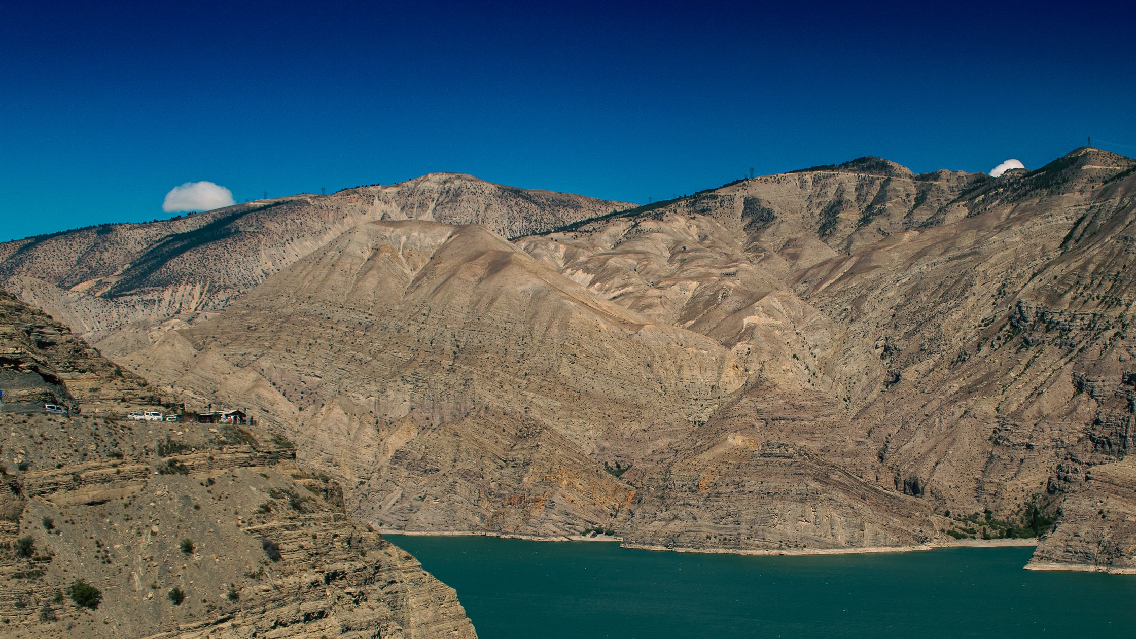 New Melones Lake Fishing Report 2026: Gold Country Bass & Trout Guide