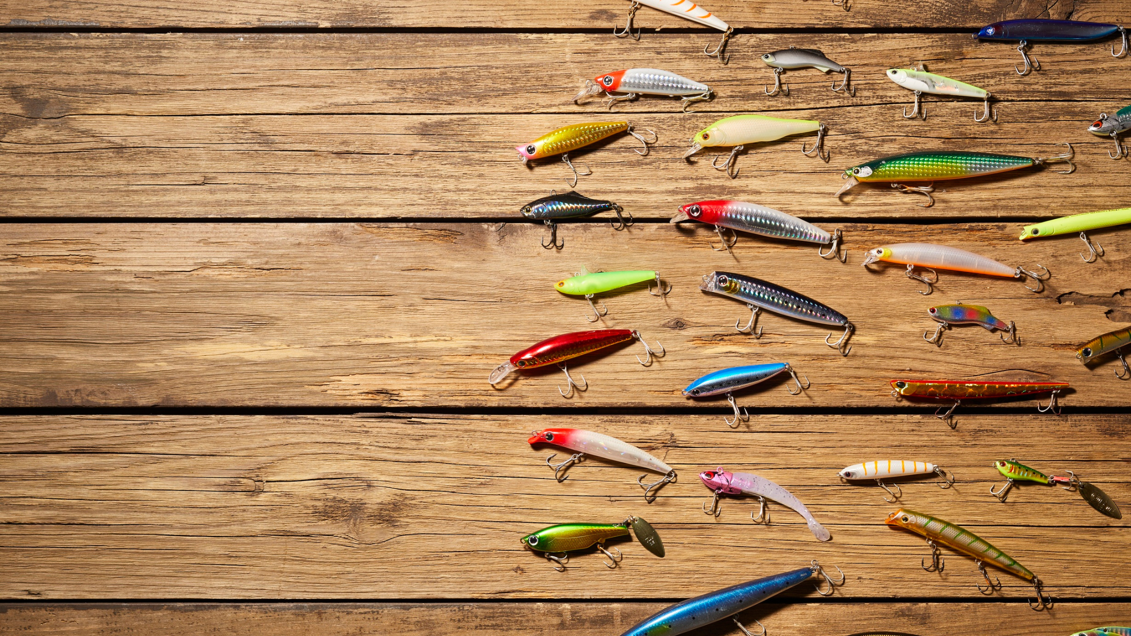 Fly Lines Explained 101